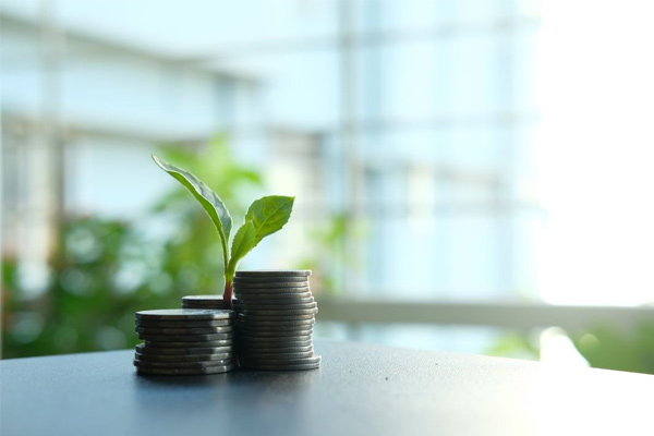 private equity image showing currency sprouting in foreground.